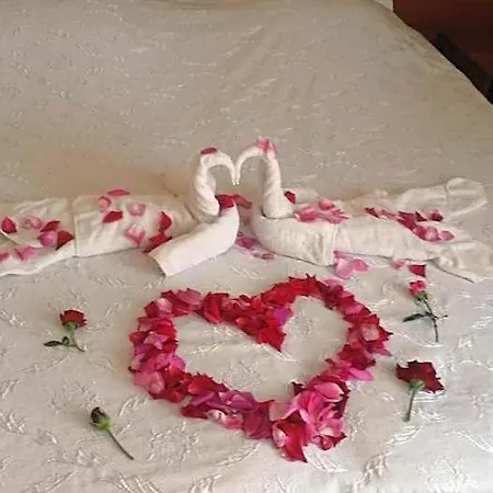 Sandor Hotell 2*